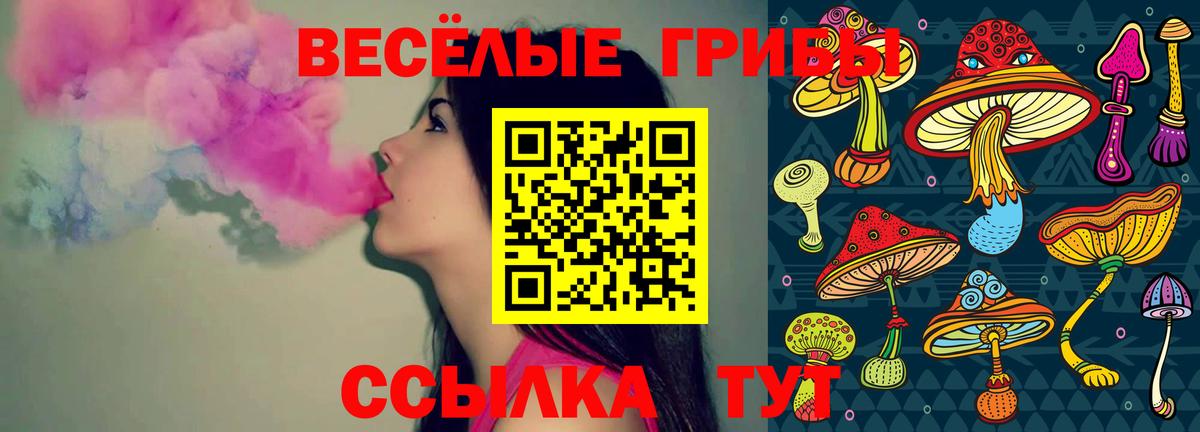 Псилоцибиновые грибы Magic Shrooms Гуково